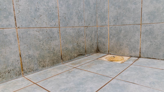 mold in bathroom