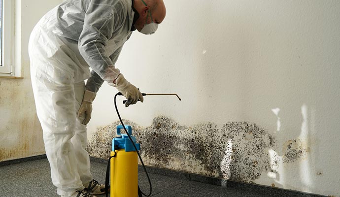 Providing mold remediation service