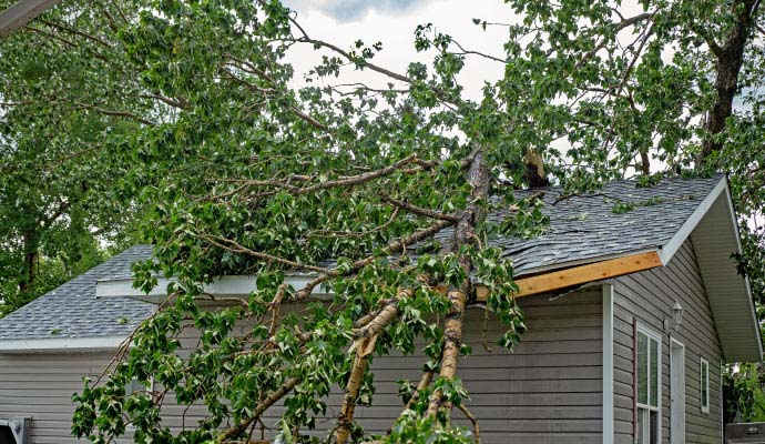 Storm Damage Insurance Claim Assistance in Dallas-Fort Worth